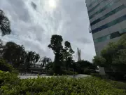 São Paulo em estado de atenção para alagamentos após chuva forte na tarde desta terça-feira