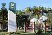 STF marca julgamento de lei catarinense que extingue cotas raciais em universidades