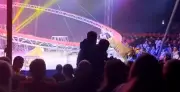 Tigre foge durante apresentação de circo na Rússia e assusta plateia