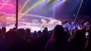 Tigre salta para plateia em circo russo após rede de proteção cair durante apresentação