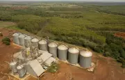 Tocantins receberá entreposto de grãos de R$ 100 milhões em Pium, impulsionando agronegócio regional
