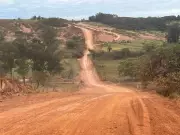 Topógrafa é atacada por mais de 300 abelhas-europeias durante trabalho em Lagoa Formosa