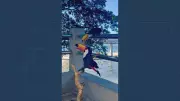 Tucano real 'beija' escultura de madeira em cena encantadora em Niterói