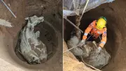 Vaca cai em cisterna de três metros e é resgatada por bombeiros em Caratinga