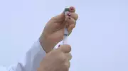 Vacina contra dengue disponível em Campinas para profissionais e pessoas com 59 anos