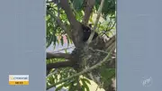 Vídeos do Bom Dia Cidade Sul de Minas: edição de 24/04/2026