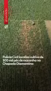 Vídeos do G1 e TV Bahia: Destaques de Quinta, 30 de Abril