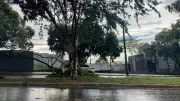 Vendaval em Uberlândia derruba mais de 30 árvores e causa interdições em diversos bairros