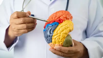 5 hábitos que prejudicam a saúde do cérebro, segundo neurologistas