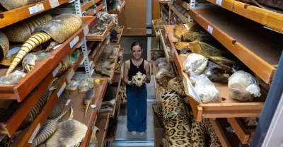 Acervo de mamíferos do Museu Goeldi é o terceiro maior da América do Sul