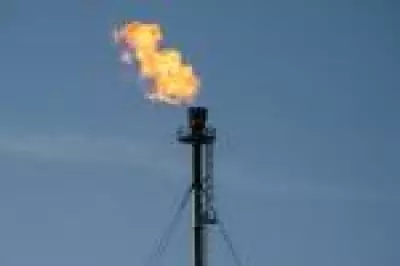 Bolsas usam trégua do petróleo para voltar a subir com otimismo