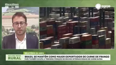 Brasil lidera exportação mundial de carne de frango e é terceiro maior produtor