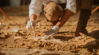 Brasil negocia repatriação de fósseis de dinossauros em 14 países