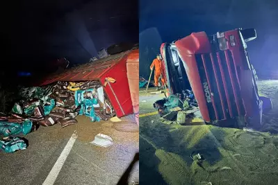 Caminhão carregado de ração tomba na BR-343 no Piauí; pista tinha óleo