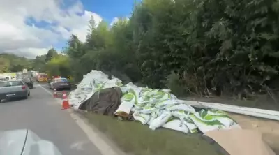Caminhão tomba, espalha farelo de soja e causa congestionamento na SP-079