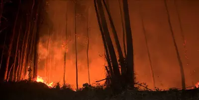 Campinas adota novo protocolo com drones e satélites contra incêndios no Pico das Cabras