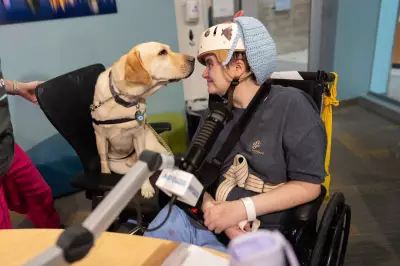 Cães de assistência transformam rotina de hospitais infantis nos EUA