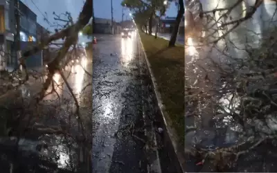 Chuva com ventos de 70 km/h causa estragos em Pouso Alegre, MG