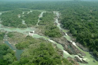 Câmara aprova projeto que reduz área protegida da Floresta do Jamanxim