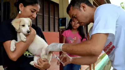Cobertura vacinal antirrábica em Teresina está abaixo do recomendado pelo Ministério da Saúde