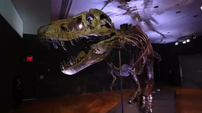 Estudo revela por que T-Rex tinha 'bracinhos': evolução das mandíbulas