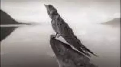 Fotógrafo registra imagens de lago que petrifica animais na África