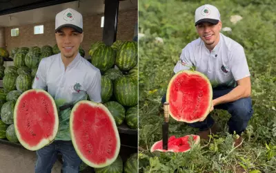 Galã da melancia: goiano viraliza ao vender frutas com roteiro e carisma