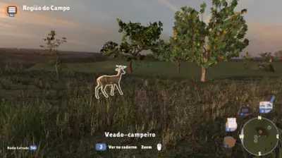 Game educativo gratuito permite explorar o Cerrado e aprender sobre biodiversidade