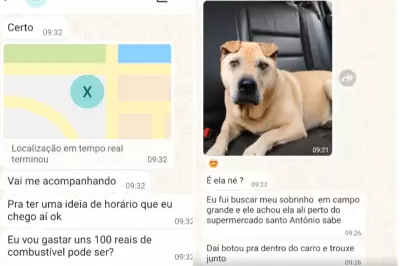 Golpe do pet desaparecido: criminosos usam IA para enganar tutores