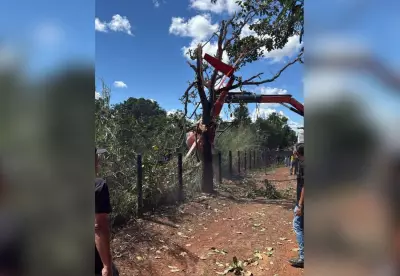Henrique e Juliano postam vídeo tranquilizando fãs após acidente com helicóptero no TO