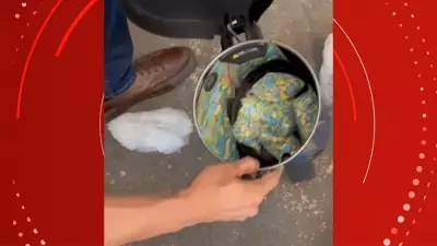 Homens são presos ao receber encomenda com ecstasy em Macapá