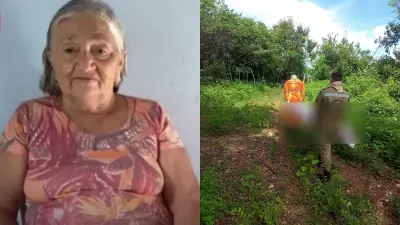 Idosa de 75 anos morre atacada por enxame de abelhas no interior do Ceará