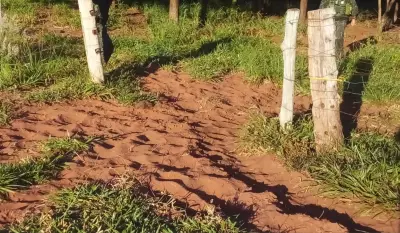 Idoso é multado em R$ 5,5 mil por gado em reserva legal em Teodoro Sampaio
