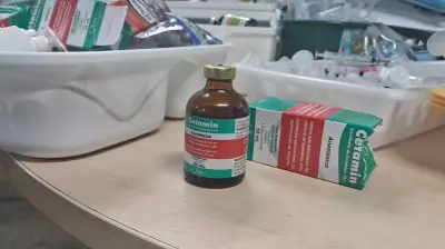Influenciadora Gabriela Gadelha e namorado presos por tráfico de drogas no AM