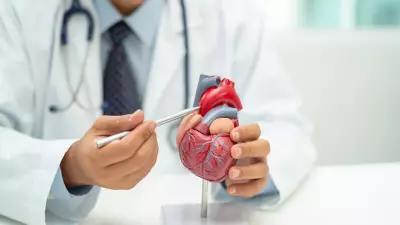 Insuficiência cardíaca: sintomas, tipos, fatores de risco e tratamento