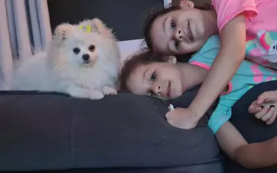 Irmãs fazem apelo emocionante para encontrar cachorra desaparecida em Barretos