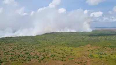 MPF aciona pecuaristas para retirar gado ilegal de reserva biológica no Amapá