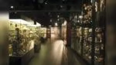 Museus europeus revisitam uso de corpos humanos em arte e ciência