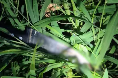 Neto mata avô a facadas após briga familiar em Pirapozinho (SP)