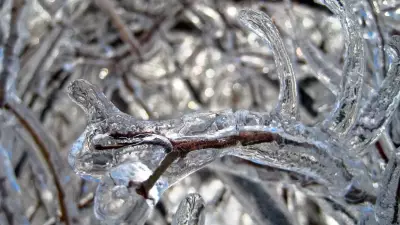 Neve no Brasil? Massa polar pode trazer fenômeno neste fim de semana