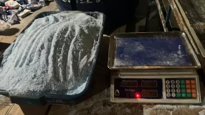 Oito presos em Campos por falsificação de sabão em pó em galpão clandestino
