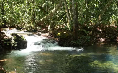 Parque Estadual do Lajeado celebra 25 anos com novas trilhas