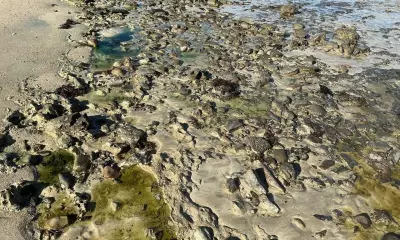 PF investiga poluição química na Praia de São Tomé de Paripe, em Salvador