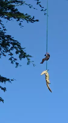 Policial é içado por helicóptero junto com crocodilo que devorou homem na África do Sul