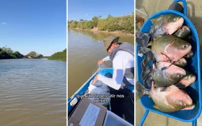 Presença de tambaqui no Rio Araguaia preocupa especialistas
