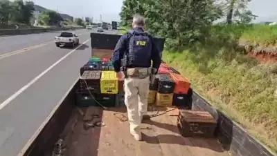 PRF apreende 912 kg de maconha após ajudar motorista com caminhão quebrado no PR