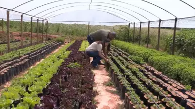 Produtores se unem e criam cooperativa rural em Montes Claros