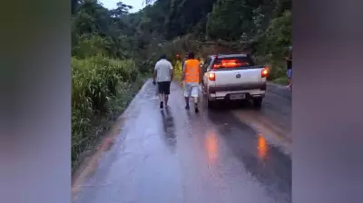 Queda de árvore interdita BR-163 por mais de 2 horas em Santarém