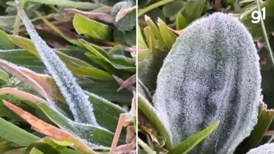 Semana começa com temperaturas próximas de 0°C no Rio Grande do Sul