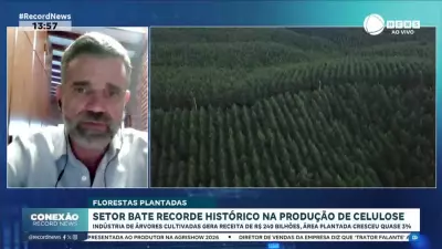 Setor de florestas plantadas bate recorde histórico na produção de celulose
